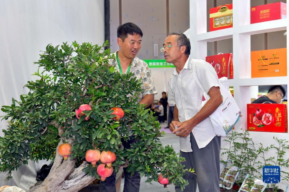 九洲娱乐网